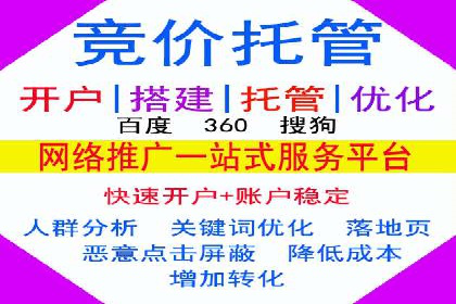SEM优化技巧：实战案例深度剖析